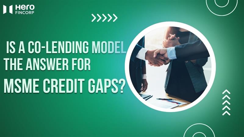 Solving MSME Credit Gaps: The Power of Co-Lending Models