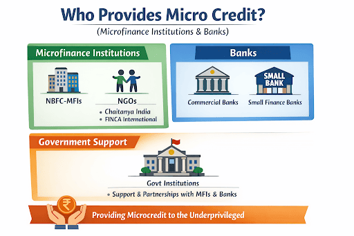 Microfinance Institutions (MFIs)