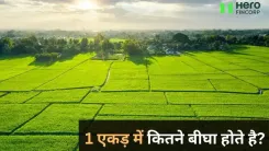 1_b355e0ef31 (1)_11zon.webp