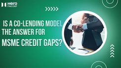 Solving MSME Credit Gaps: The Power of Co-Lending Models