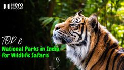 important national parks in india